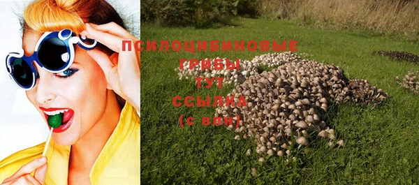 apvp Алексеевка