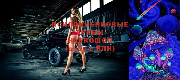 винт Алексин
