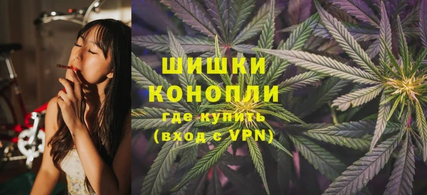 винт Алексин
