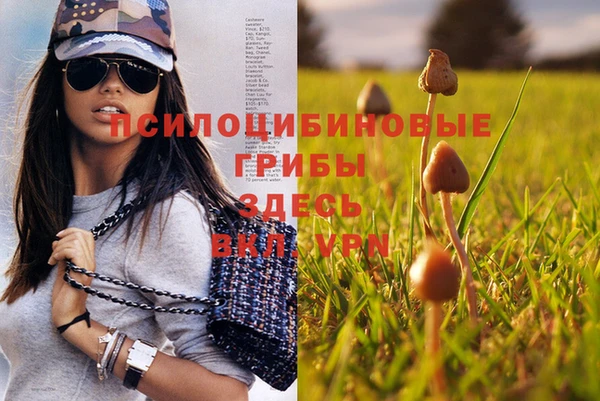 винт Алексин