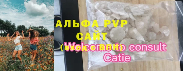 винт Алексин